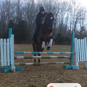 Meet your Posher, Megan